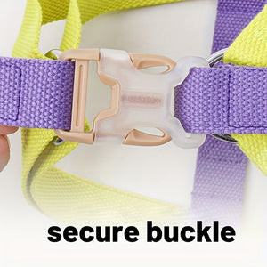 Why Your Furry Friend Deserves the Rainbow Colorblock Anti-Escape Cotton Dog Harness With Leash Set