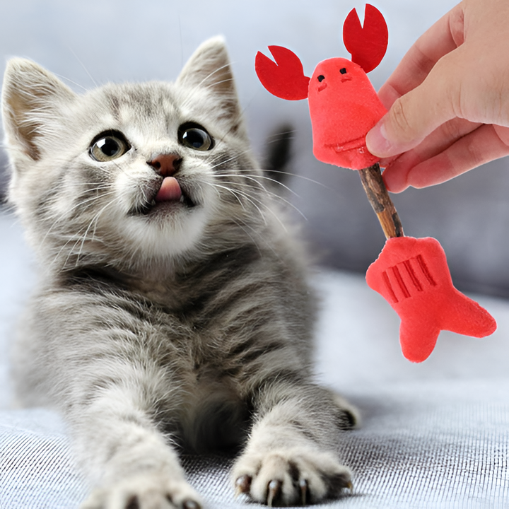 Choosing the Right Toys for Your Pet