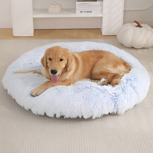 Creating a Cozy Home for Your Pet