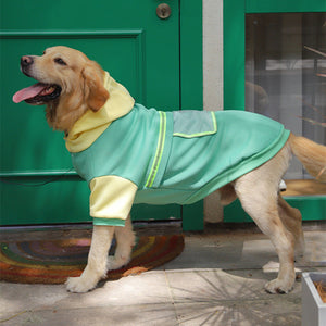 Why Your Large Dog Deserves the Best: The Ultimate Sweater