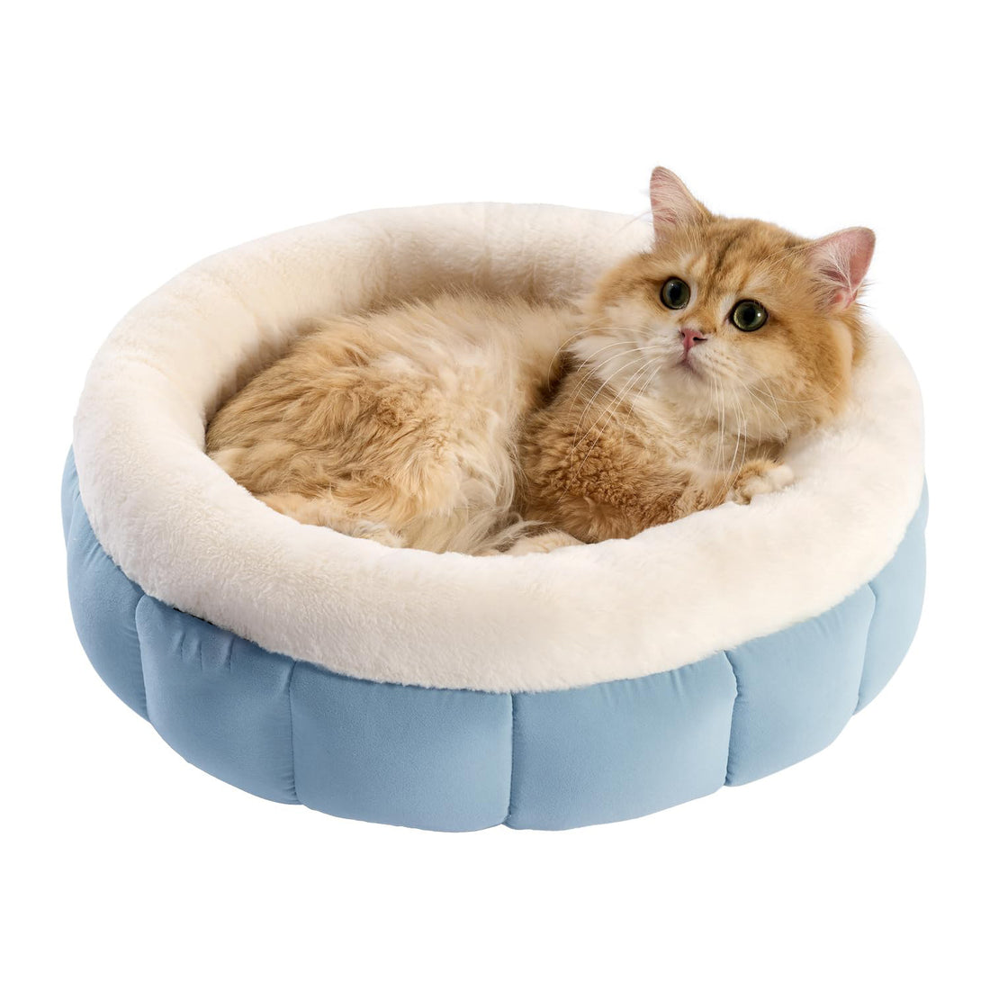 Donut Pet Bed Washable Round Bed For Small Dogs Cats