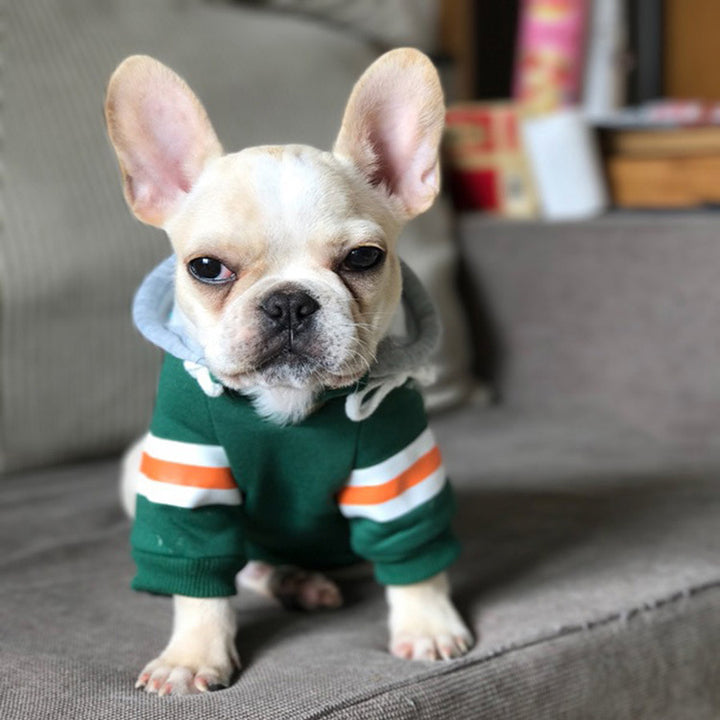 Pet Sweater