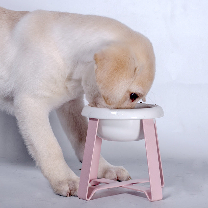 Creative 2-in-1 Cat Feeding Bowl With Iron Stand Anti-Slip
