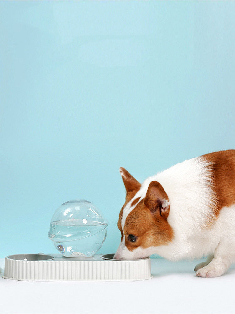 Automatic Plastic Pet Water And Food Feeder Bowl For Dogs Cats