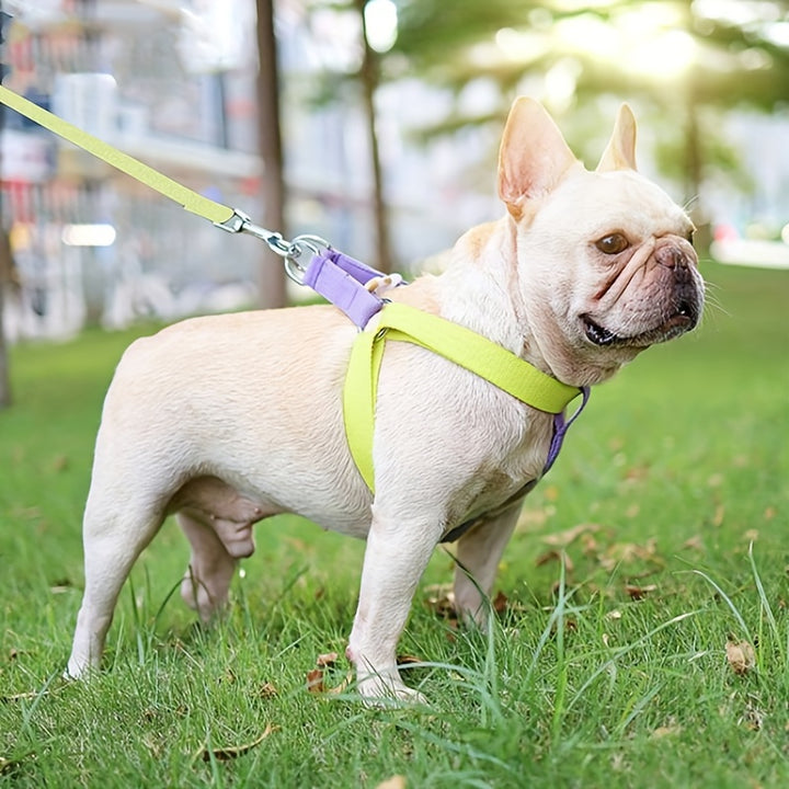 Rainbow Colorblock Anti-Escape Cotton Dog Harness With Leash Set