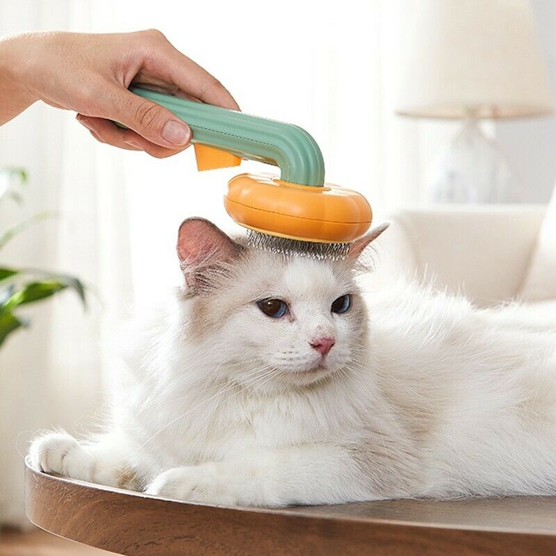 Self-Cleaning Pumpkin Slicker Brush For Dogs Cats And Rabbits