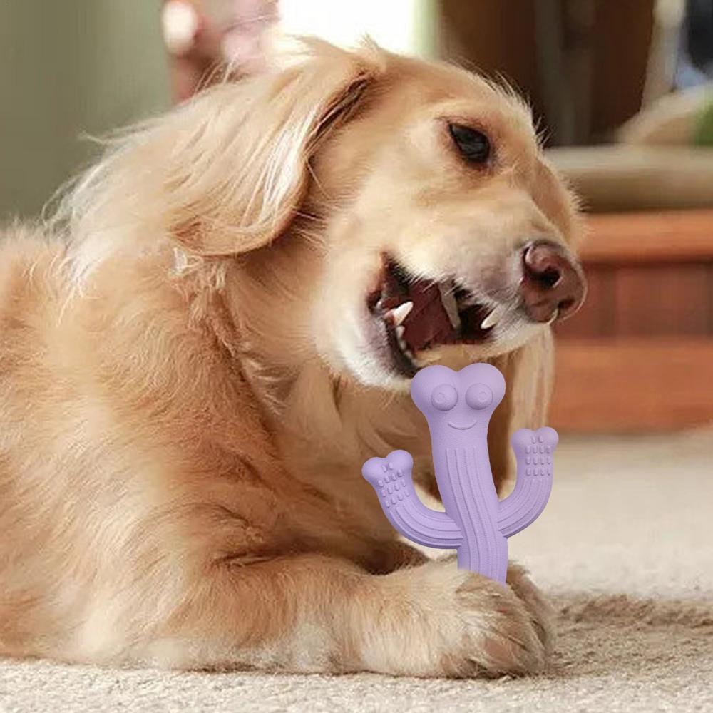 Cactus Puppy Chew Toy Ultra-Durable Interactive Dog Toy