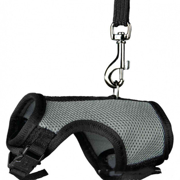 Small Pet Leash