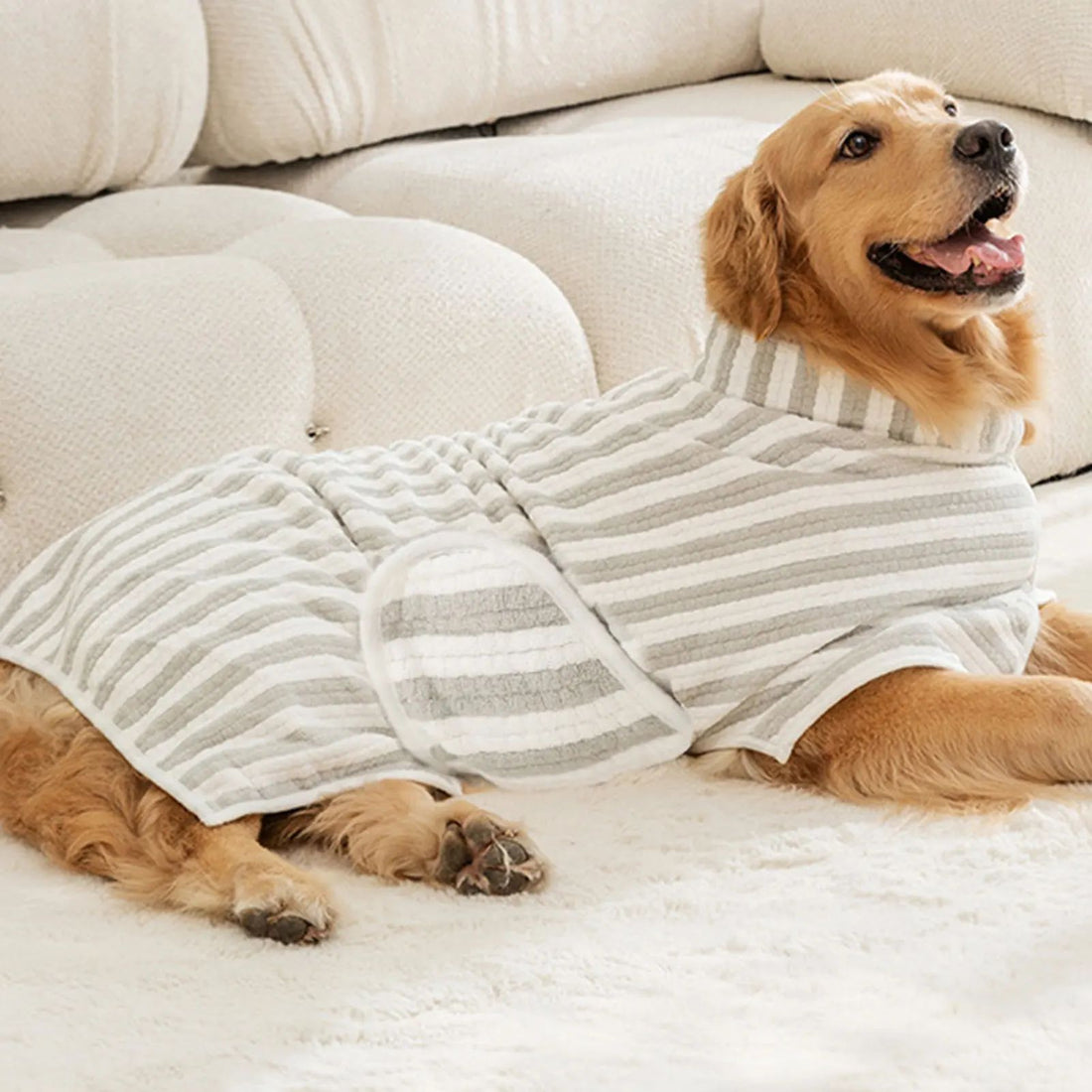 Ultra-Absorbent Quick-Dry Pet Bath Towel For Dogs All Sizes