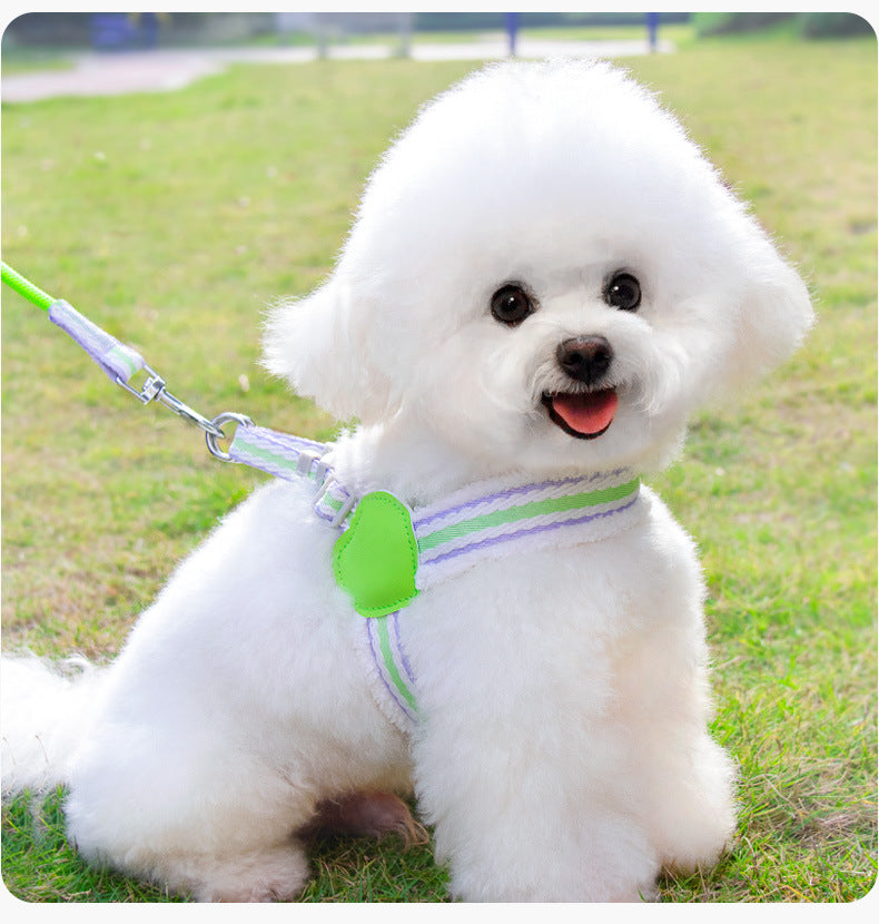 Breathable Summer Dog Harness Vest With Leash Small Medium
