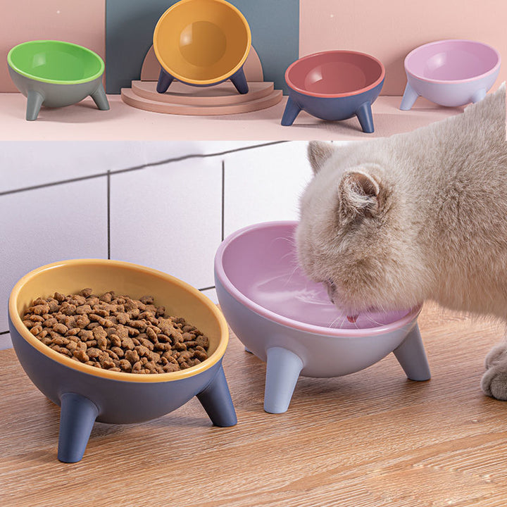 Pet Feeding Bowl With Stand For Cats Dogs And Rabbits