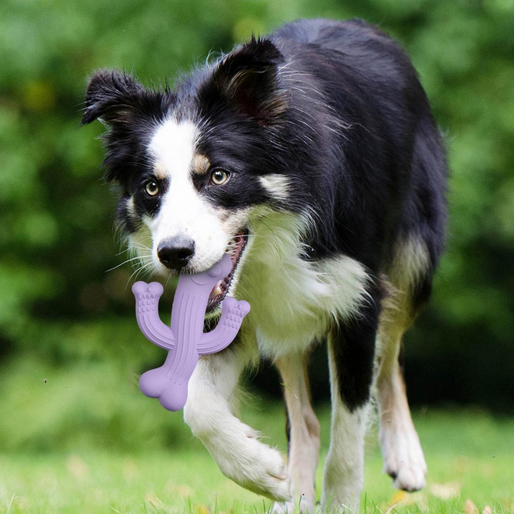 Cactus Puppy Chew Toy Ultra-Durable Interactive Dog Toy