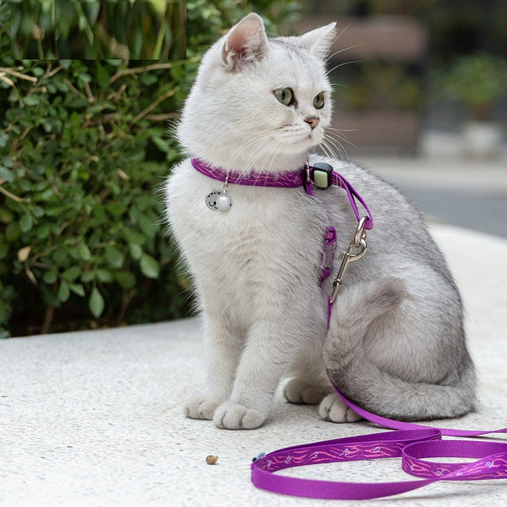 Cat And Small Dog Harness Vest With Bell And Leash