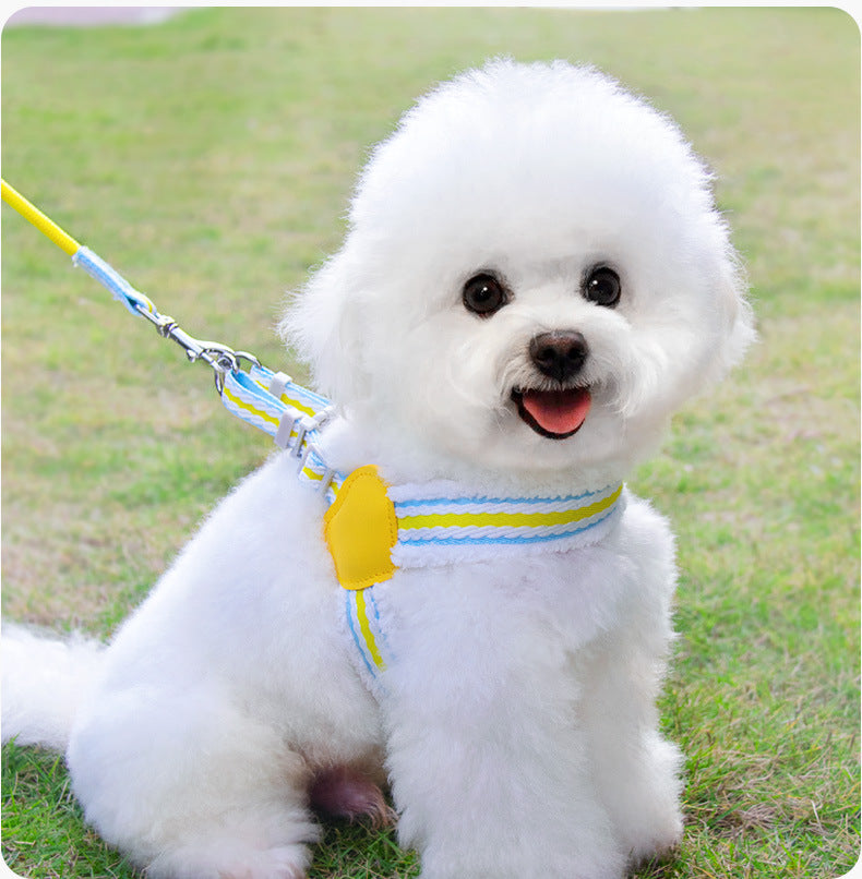 Breathable Summer Dog Harness Vest With Leash Small Medium
