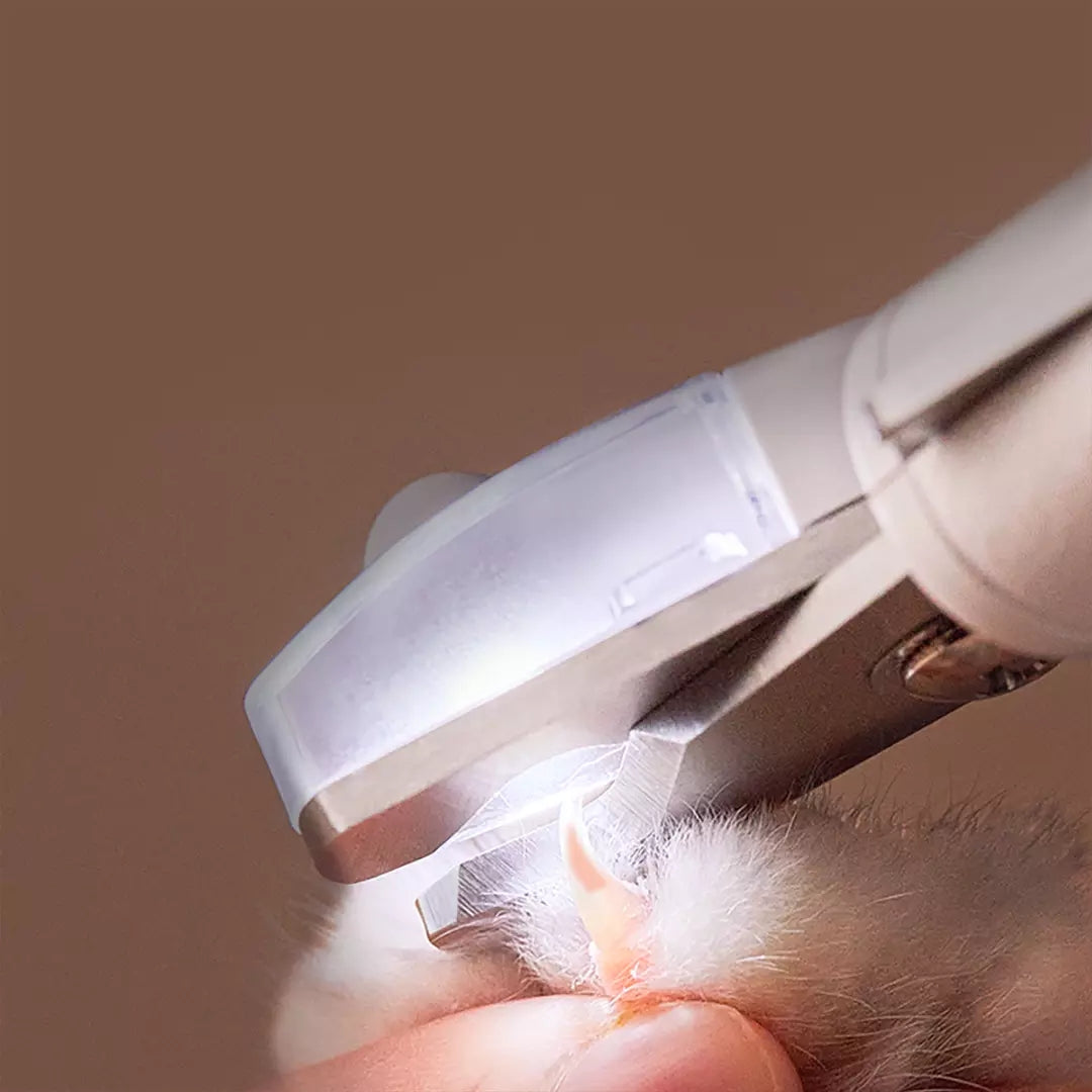 Professional Pet Nail Clipper With LED Light For Dogs And Cats