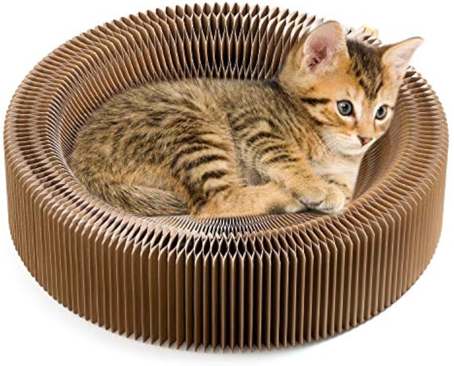 Collapsible Round Cat Scratcher Lounge Bed Cardboard Nest