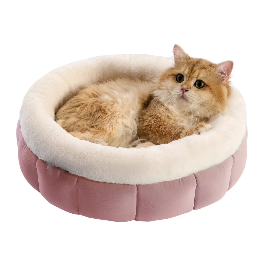 Donut Pet Bed Washable Round Bed For Small Dogs Cats