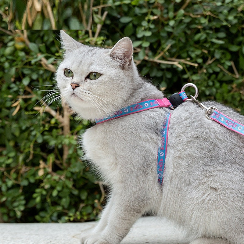 Cat And Small Dog Harness Vest With Bell And Leash