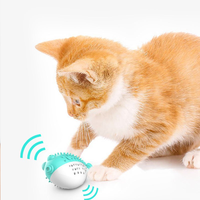 Mint Silicone Cat Chew Toy Toothbrush Teaser For Cats