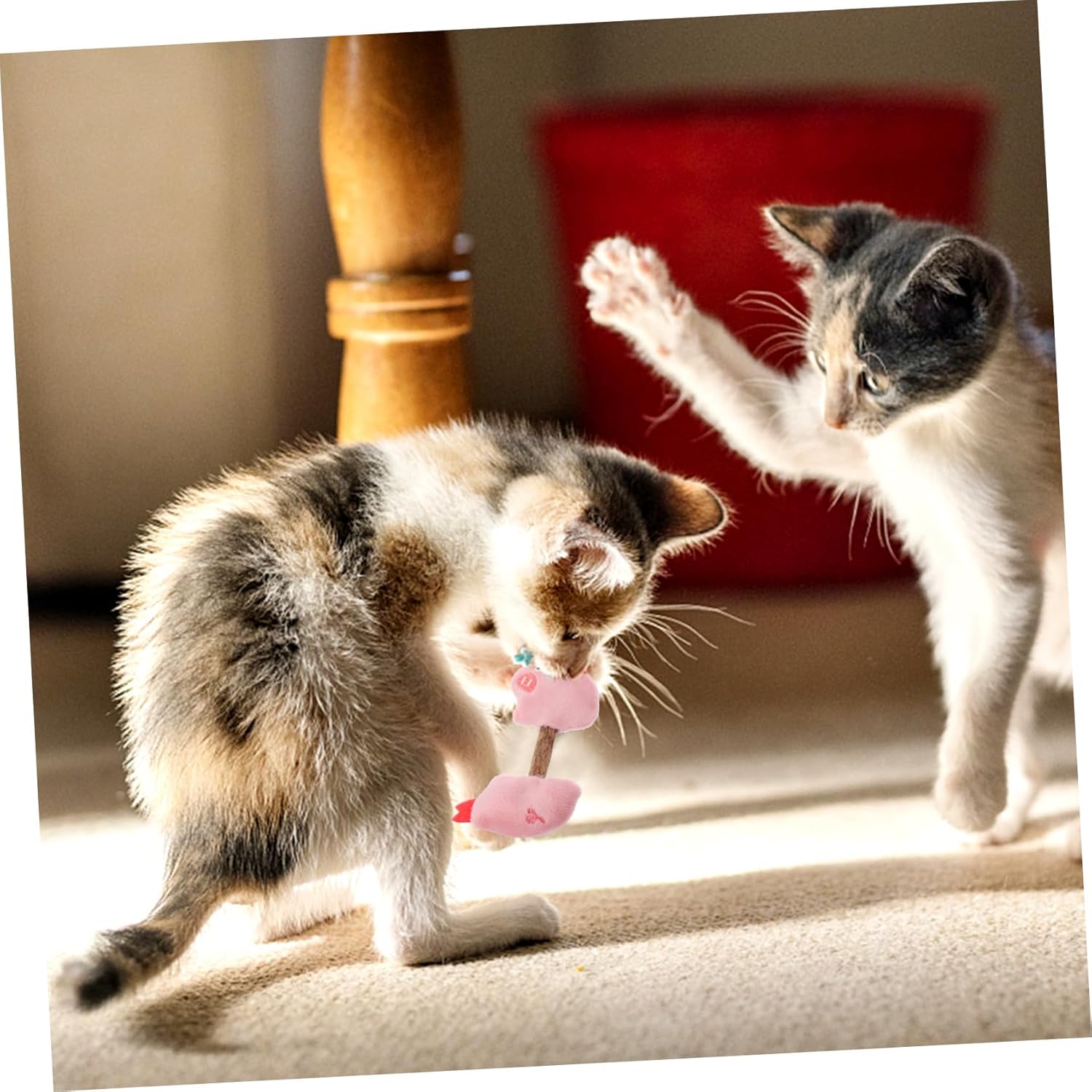 Cat Silvervine Chew Sticks Teeth Cleaning Interactive Toy Set