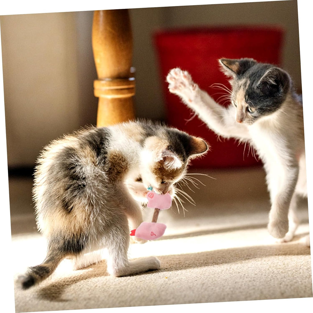 Cat Silvervine Chew Sticks Teeth Cleaning Interactive Toy Set