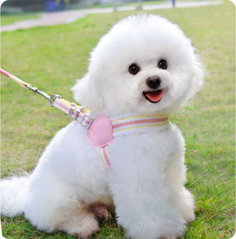 Breathable Summer Dog Harness Vest With Leash Small Medium