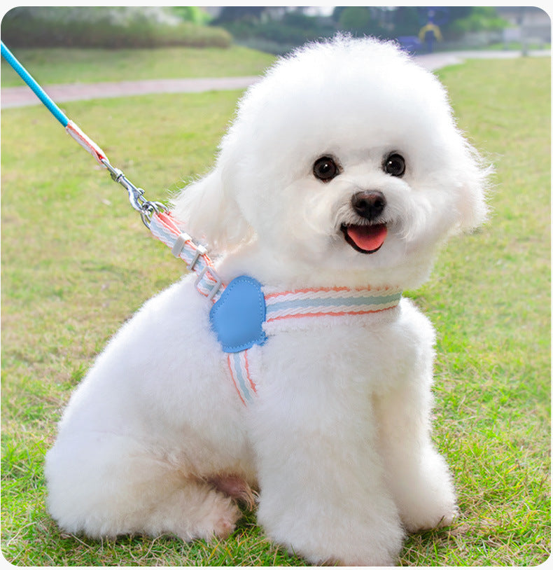 Breathable Summer Dog Harness Vest With Leash Small Medium