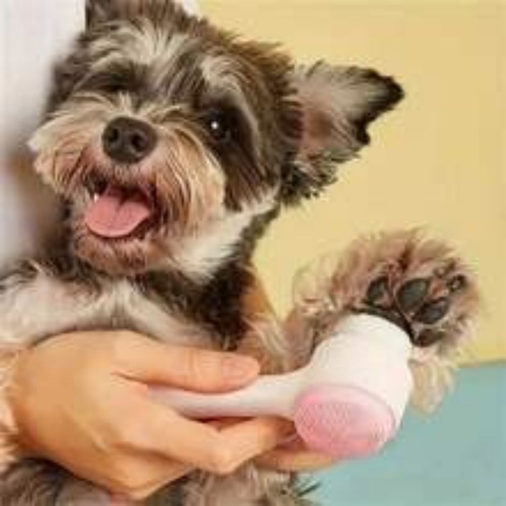 Easy Clean Nylon Pet Paw Brush For Gentle Grooming And Massage