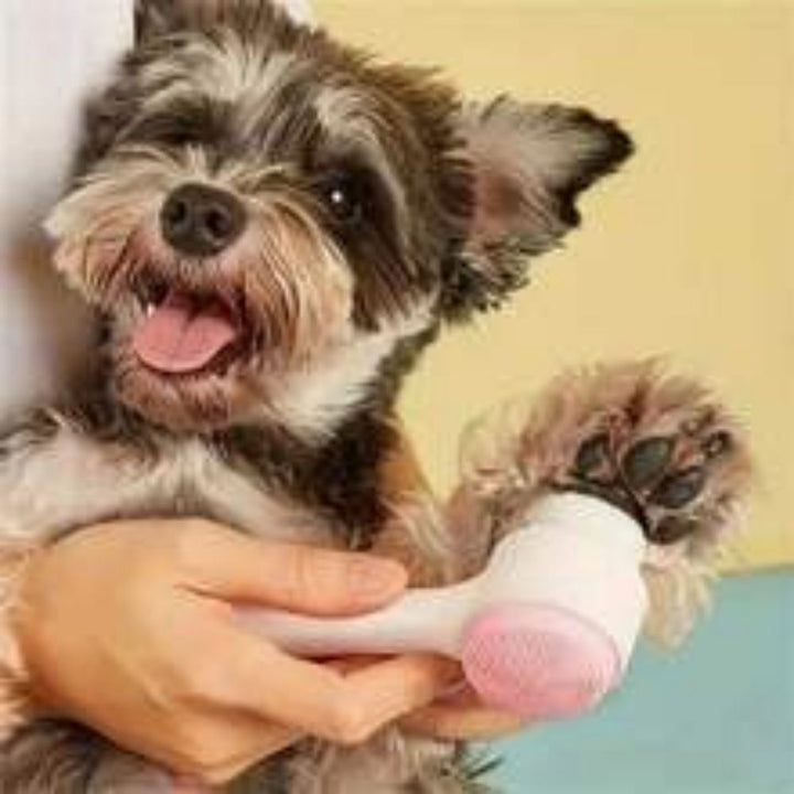 Easy Clean Nylon Pet Paw Brush For Gentle Grooming And Massage