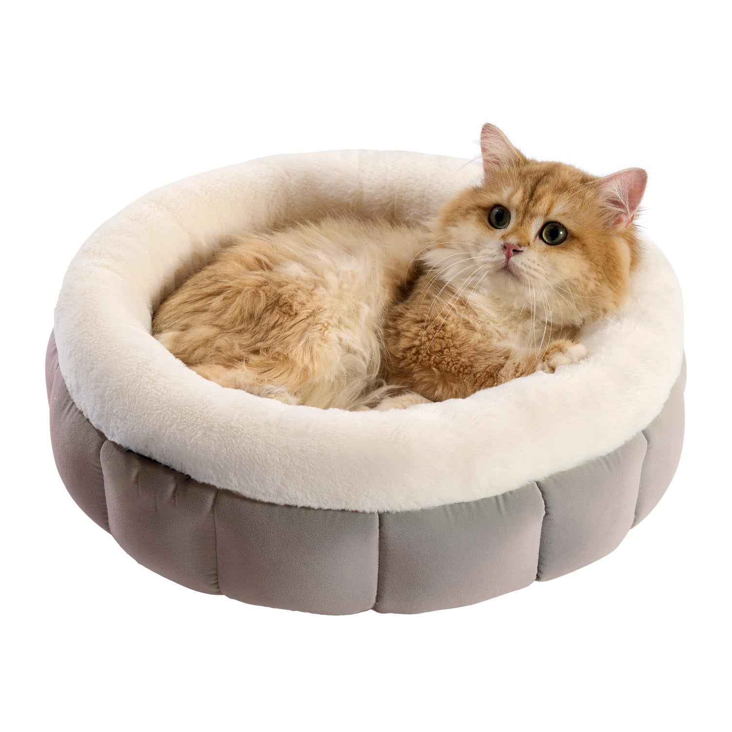 Donut Pet Bed Washable Round Bed For Small Dogs Cats