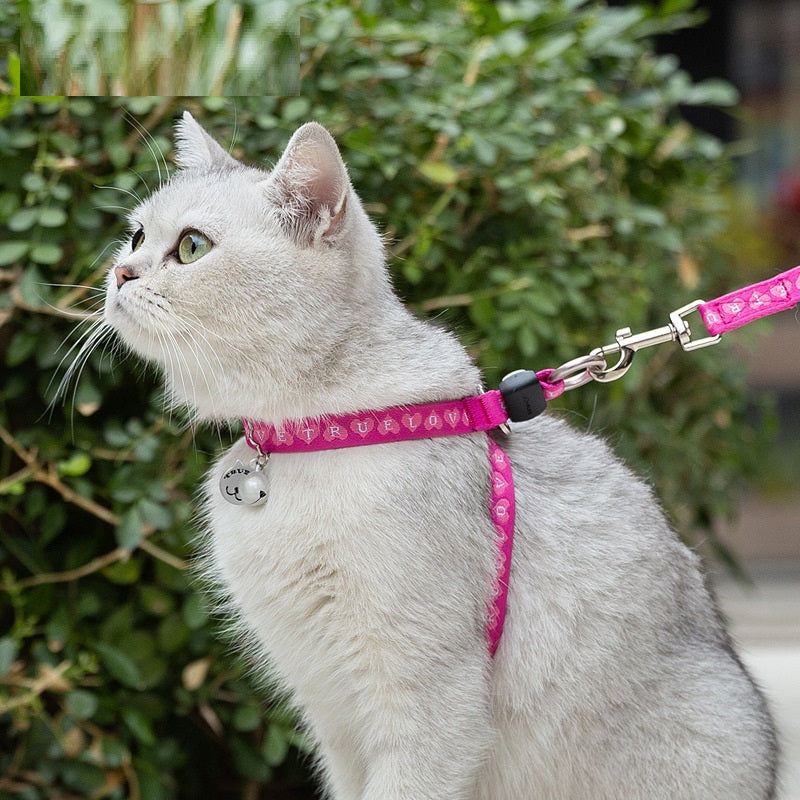 Cat And Small Dog Harness Vest With Bell And Leash